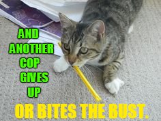 AND   ANOTHER COP     GIVES     UP OR BITES THE BUST. | made w/ Imgflip meme maker
