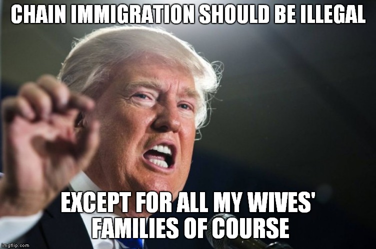 What's Good For The Goose | CHAIN IMMIGRATION SHOULD BE ILLEGAL; EXCEPT FOR ALL MY WIVES' FAMILIES OF COURSE | image tagged in donald trump | made w/ Imgflip meme maker