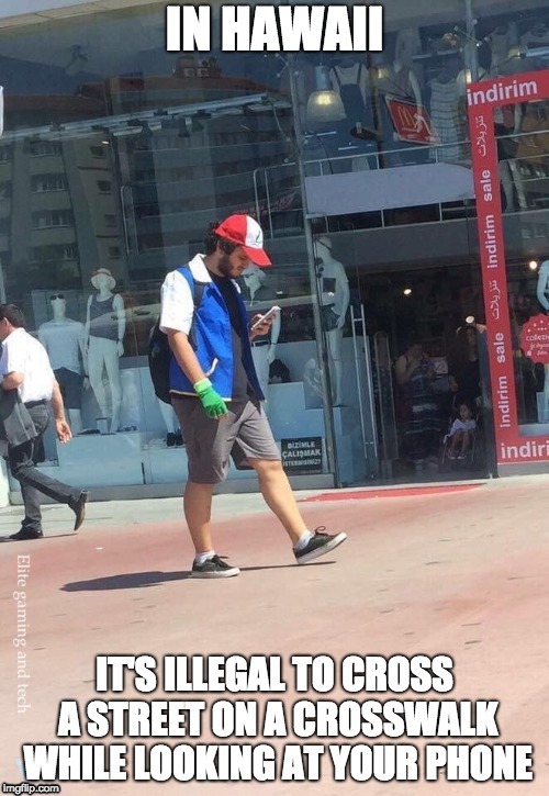 That Law in Hawaii | image tagged in hawaii,law,memes,pokemon,cell phone | made w/ Imgflip meme maker