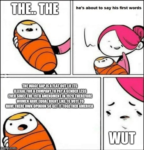 baby first words | THE.. THE; THE WAGE GAP IS A FLAT OUT LIE ITS ILLEGAL FOR A COMPANY TO PAY A GENDER LESS EVER SINCE THE 19TH AMENDMENT IN 1920 THEREFORE WOMEN HAVE EQUAL RIGHT LIKE TO VOTE TO HAVE THERE OWN OPINION SO GET IT TOGETHER AMERICA; WUT | image tagged in baby first words | made w/ Imgflip meme maker