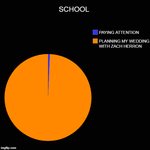 SCHOOL | PLANNING MY WEDDING WITH ZACH HERRON, PAYING ATTENTION | image tagged in funny,pie charts | made w/ Imgflip chart maker