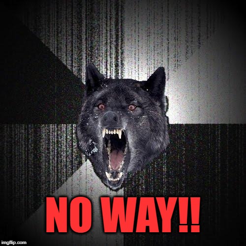 Insanity Wolf Meme | NO WAY!! | image tagged in memes,insanity wolf | made w/ Imgflip meme maker