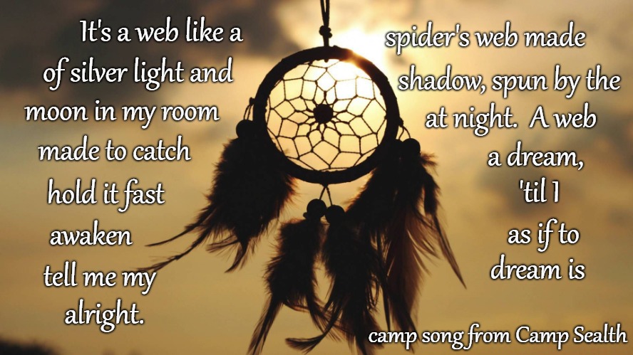 Dream Catcher Song  | It's a web like a; spider's web made; of silver light and; shadow, spun by the; moon in my room; at night.  A web; made to catch; a dream, hold it fast; 'til I; awaken; as if to; dream is; tell me my; alright. camp song from Camp Sealth | image tagged in native american,native americans,indians,indian chief,chief,tribe | made w/ Imgflip meme maker