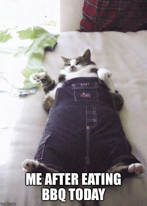 Fat Cat Meme | ME AFTER EATING BBQ TODAY | image tagged in memes,fat cat | made w/ Imgflip meme maker