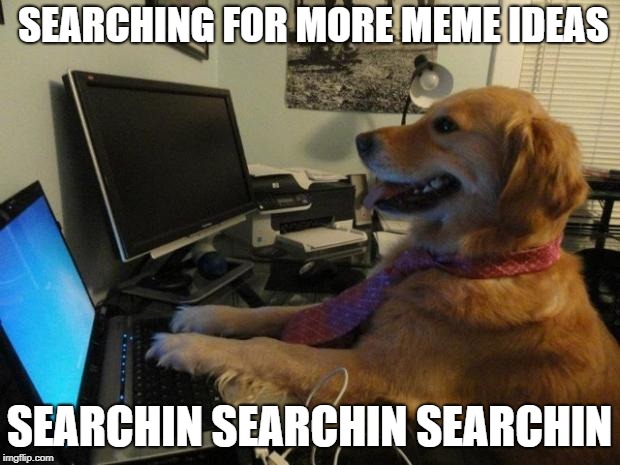 Dog behind a computer | SEARCHING FOR MORE MEME IDEAS; SEARCHIN SEARCHIN SEARCHIN | image tagged in dog behind a computer | made w/ Imgflip meme maker