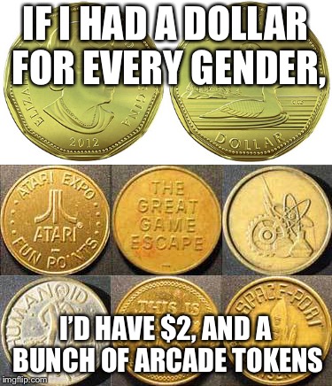 loonies and tokens | IF I HAD A DOLLAR FOR EVERY GENDER, I’D HAVE $2, AND A BUNCH OF ARCADE TOKENS | image tagged in money | made w/ Imgflip meme maker