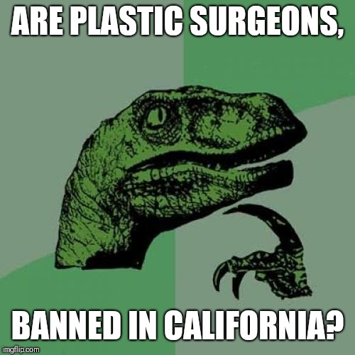 Philosoraptor | ARE PLASTIC SURGEONS, BANNED IN CALIFORNIA? | image tagged in memes,philosoraptor | made w/ Imgflip meme maker