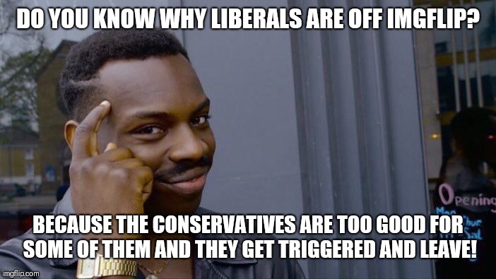 Roll Safe Think About It Meme | DO YOU KNOW WHY LIBERALS ARE OFF IMGFLIP? BECAUSE THE CONSERVATIVES ARE TOO GOOD FOR SOME OF THEM AND THEY GET TRIGGERED AND LEAVE! | image tagged in memes,roll safe think about it | made w/ Imgflip meme maker