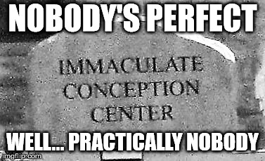 imconcenter | NOBODY'S PERFECT WELL... PRACTICALLY NOBODY | image tagged in imconcenter | made w/ Imgflip meme maker