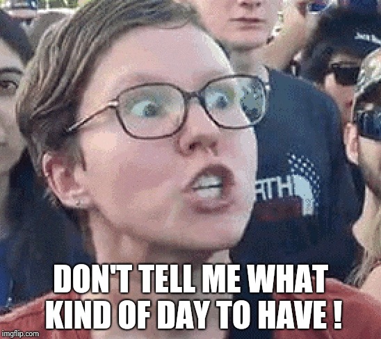 Triggered Liberal | DON'T TELL ME WHAT KIND OF DAY TO HAVE ! | image tagged in triggered liberal | made w/ Imgflip meme maker