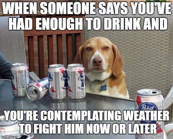 dog beer | WHEN SOMEONE SAYS YOU'VE HAD ENOUGH TO DRINK AND; YOU'RE CONTEMPLATING WEATHER TO FIGHT HIM NOW OR LATER | image tagged in dog beer | made w/ Imgflip meme maker