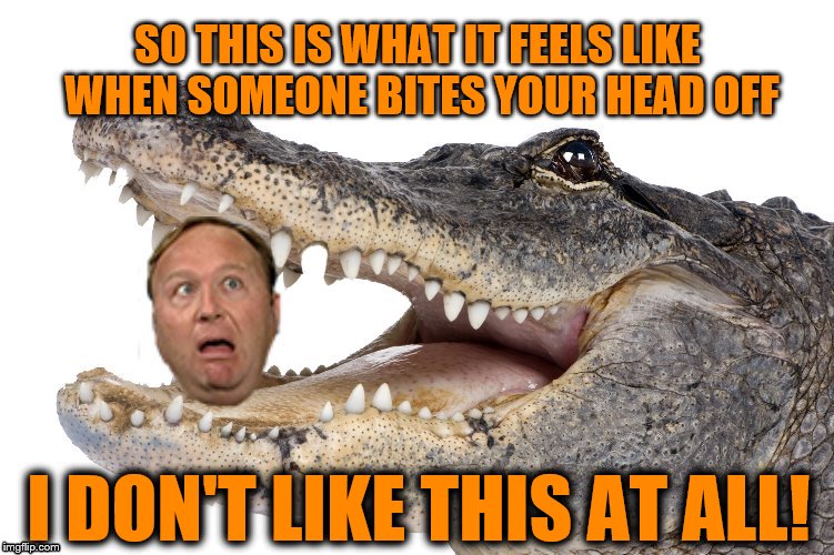 Chew On This, Alex Jones | SO THIS IS WHAT IT FEELS LIKE WHEN SOMEONE BITES YOUR HEAD OFF; I DON'T LIKE THIS AT ALL! | image tagged in alex jones,conspiracy theories,white nationalism,white supremacists | made w/ Imgflip meme maker