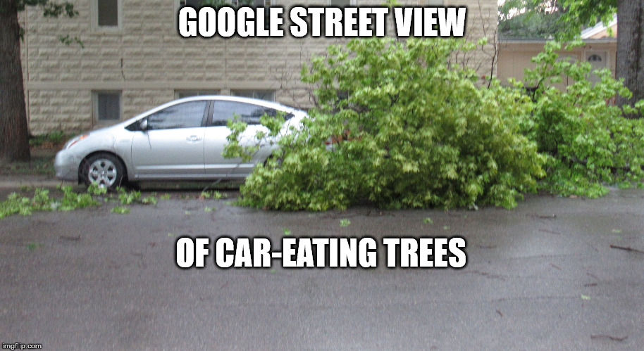 Tree getting its car(bs) | GOOGLE STREET VIEW OF CAR-EATING TREES | image tagged in tree getting its carbs | made w/ Imgflip meme maker