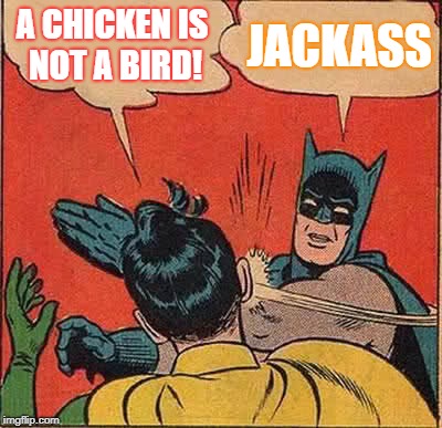 Batman Slapping Robin Meme | A CHICKEN IS NOT A BIRD! JACKASS | image tagged in memes,batman slapping robin | made w/ Imgflip meme maker