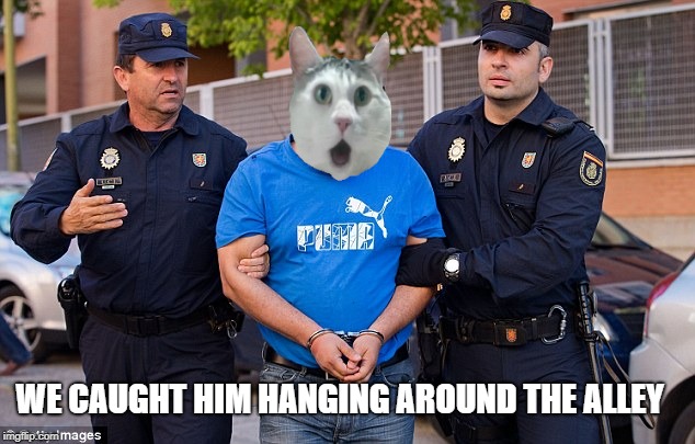 WE CAUGHT HIM HANGING AROUND THE ALLEY | made w/ Imgflip meme maker