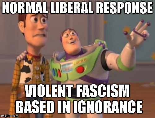 X, X Everywhere Meme | NORMAL LIBERAL RESPONSE VIOLENT FASCISM BASED IN IGNORANCE | image tagged in memes,x x everywhere | made w/ Imgflip meme maker