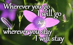 Ruth 1:16 Wherever You Go I Will Go | Wherever you go; I will go; wherever you stay; I will stay | image tagged in bible verse,verse,god,bible,holybible,holy spirit' | made w/ Imgflip meme maker