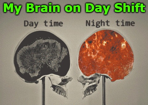 My Brain on Day Shift | image tagged in brain,dayshift,insomnia,space cadet,humor | made w/ Imgflip meme maker