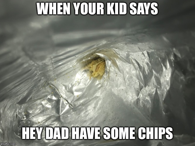 too bad no chips | WHEN YOUR KID SAYS; HEY DAD HAVE SOME CHIPS | image tagged in so true memes | made w/ Imgflip meme maker