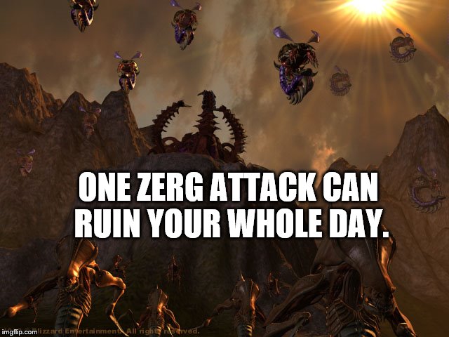 No Title | ONE ZERG ATTACK CAN RUIN YOUR WHOLE DAY. | image tagged in starcraft | made w/ Imgflip meme maker