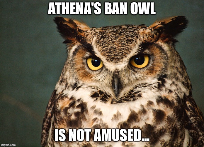 Athena's Flock of Ban Owls | ATHENA'S BAN OWL; IS NOT AMUSED... | image tagged in owl,owls,athena,sims 4,ban | made w/ Imgflip meme maker