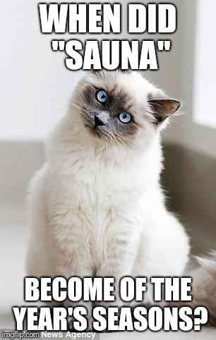 WHEN DID "SAUNA"; BECOME OF THE YEAR'S SEASONS? | image tagged in sauna season | made w/ Imgflip meme maker