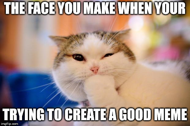 thinking cat | THE FACE YOU MAKE WHEN YOUR; TRYING TO CREATE A GOOD MEME | image tagged in thinking cat | made w/ Imgflip meme maker