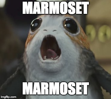 porgs | MARMOSET; MARMOSET | image tagged in porgs | made w/ Imgflip meme maker