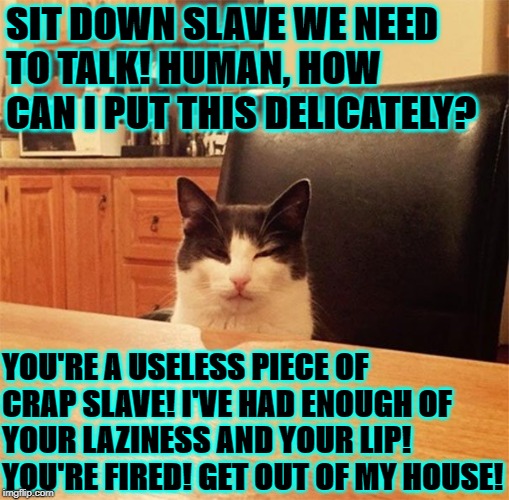 USELESS HUMAN | SIT DOWN SLAVE WE NEED TO TALK! HUMAN, HOW CAN I PUT THIS DELICATELY? YOU'RE A USELESS PIECE OF CRAP SLAVE! I'VE HAD ENOUGH OF YOUR LAZINESS AND YOUR LIP! YOU'RE FIRED! GET OUT OF MY HOUSE! | image tagged in useless human | made w/ Imgflip meme maker