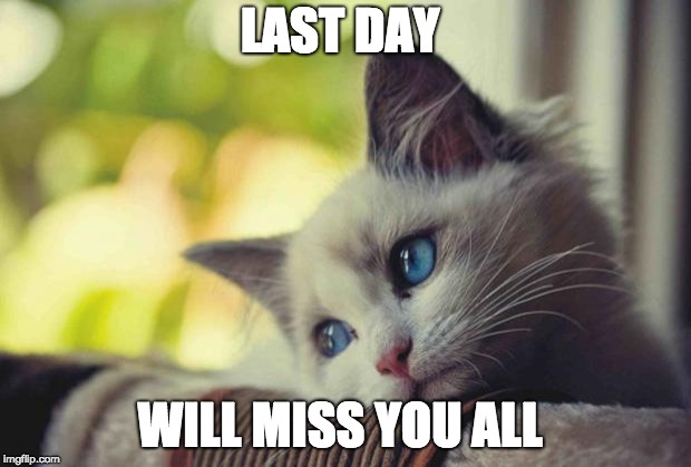 Sad Kitten | LAST DAY; WILL MISS YOU ALL | image tagged in sad kitten | made w/ Imgflip meme maker