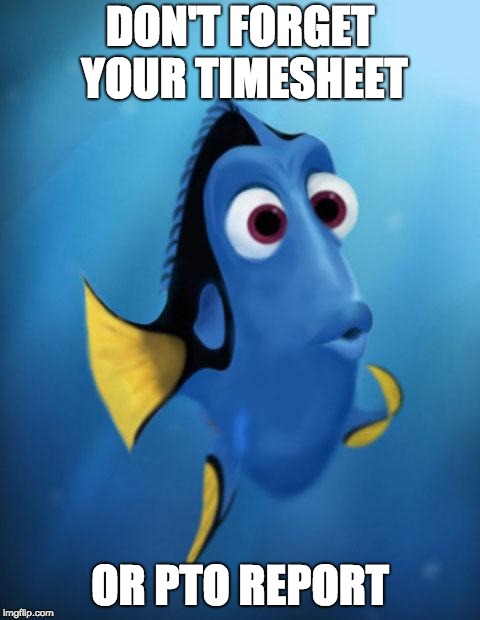 Dory | DON'T FORGET YOUR TIMESHEET; OR PTO REPORT | image tagged in dory | made w/ Imgflip meme maker