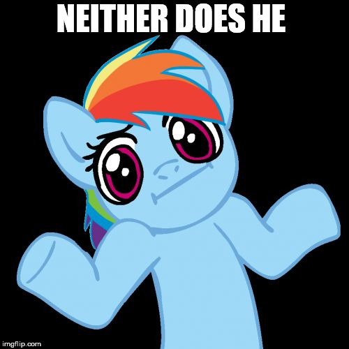 Pony Shrugs Meme | NEITHER DOES HE | image tagged in memes,pony shrugs | made w/ Imgflip meme maker