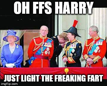 lighting farts | OH FFS HARRY; JUST LIGHT THE FREAKING FART | image tagged in prince harry,duke | made w/ Imgflip meme maker