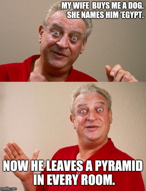 Classic Rodney | MY WIFE  BUYS ME A DOG. SHE NAMES HIM 'EGYPT. NOW HE LEAVES A PYRAMID IN EVERY ROOM. | image tagged in classic rodney | made w/ Imgflip meme maker