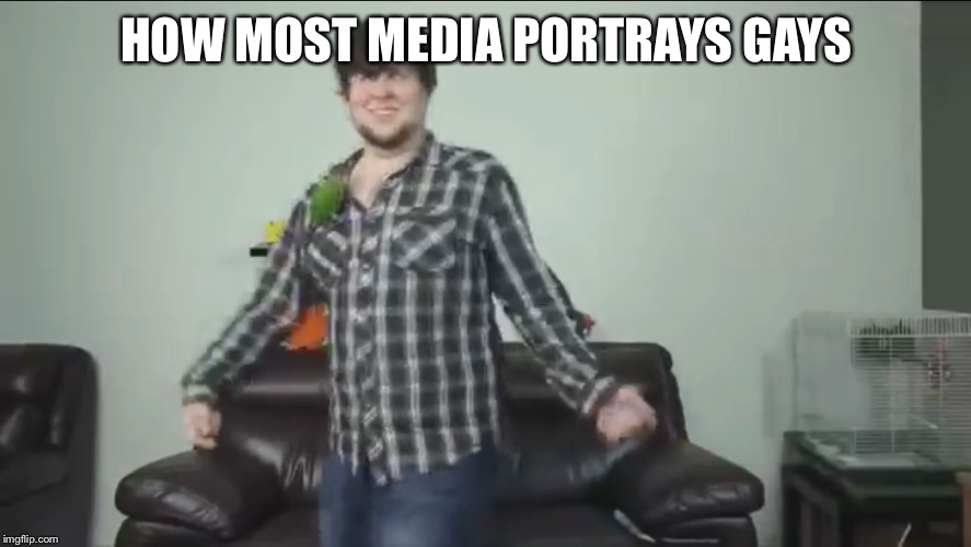 Stereotypes  | HOW MOST MEDIA PORTRAYS GAYS | image tagged in memes,jontron,stereotypes,gay,gay pride | made w/ Imgflip meme maker