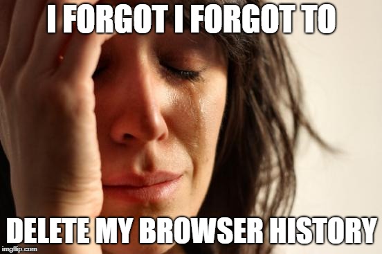 First World Problems | I FORGOT I FORGOT TO; DELETE MY BROWSER HISTORY | image tagged in memes,first world problems | made w/ Imgflip meme maker