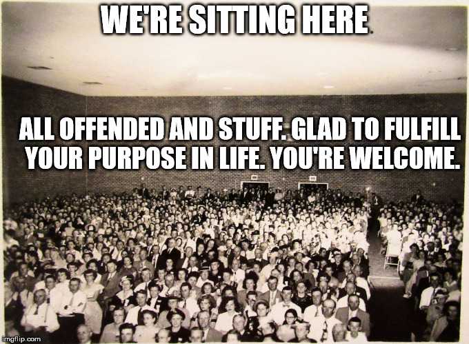 All my memes' Fans | WE'RE SITTING HERE ALL OFFENDED AND STUFF. GLAD TO FULFILL YOUR PURPOSE IN LIFE. YOU'RE WELCOME. | image tagged in all my memes' fans | made w/ Imgflip meme maker