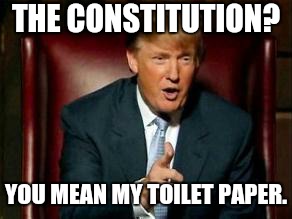 This whole damn country is becoming his toilet paper now.  |  THE CONSTITUTION? YOU MEAN MY TOILET PAPER. | image tagged in donald trump,memes,the constitution,constitution,toilet paper,overly manly man | made w/ Imgflip meme maker