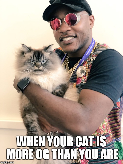 WHEN YOUR CAT IS MORE OG THAN YOU ARE | image tagged in og cat | made w/ Imgflip meme maker
