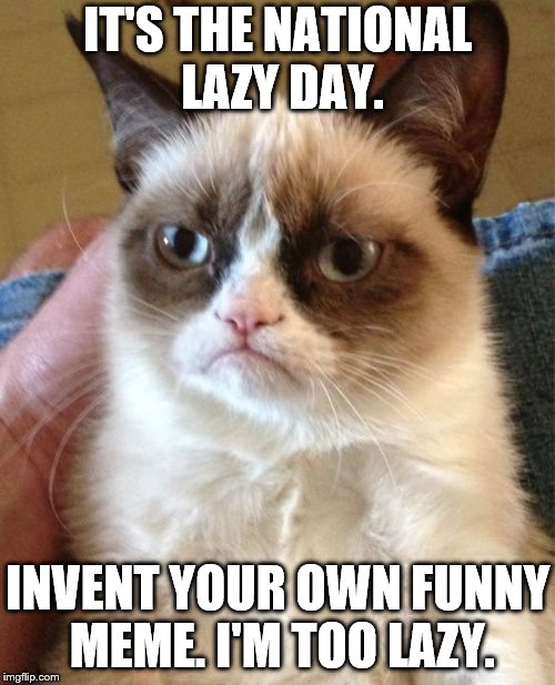The National Lazy Day | IT'S THE NATIONAL LAZY DAY. INVENT YOUR OWN FUNNY MEME. I'M TOO LAZY. | image tagged in memes,grumpy cat | made w/ Imgflip meme maker