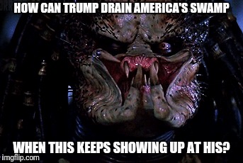 How can Trump drain America's swamp when this keeps showing up at his? | HOW CAN TRUMP DRAIN AMERICA'S SWAMP; WHEN THIS KEEPS SHOWING UP AT HIS? | image tagged in donald trump,trump,drain the swamp,swamp,drain the swamp trump,draintheswamp | made w/ Imgflip meme maker
