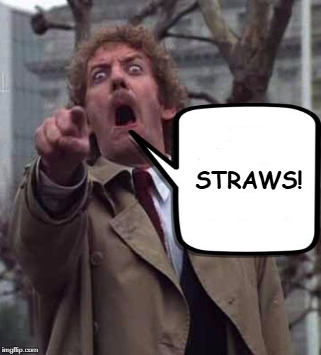 OH NO! | STRAWS! | image tagged in invasion of the body snatchers donald sutherland,straws,plastic straws,memes | made w/ Imgflip meme maker