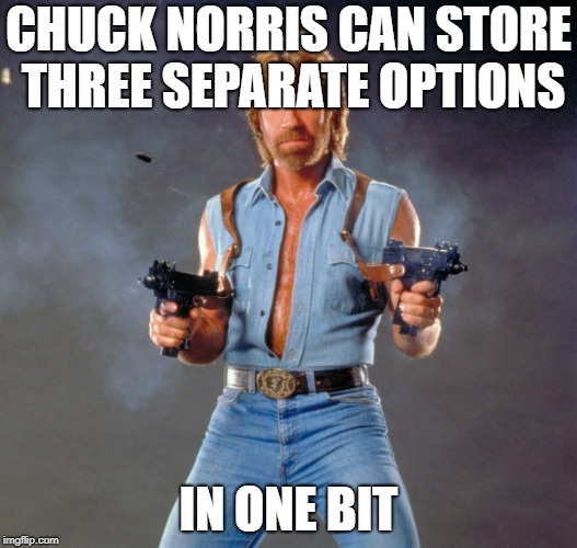 Byte me! | CHUCK NORRIS CAN STORE THREE SEPARATE OPTIONS; IN ONE BIT | image tagged in memes,chuck norris guns,chuck norris | made w/ Imgflip meme maker