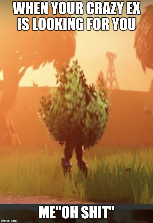 Fortnite bush | WHEN YOUR CRAZY EX IS LOOKING FOR YOU; ME"OH SHIT" | image tagged in fortnite bush | made w/ Imgflip meme maker