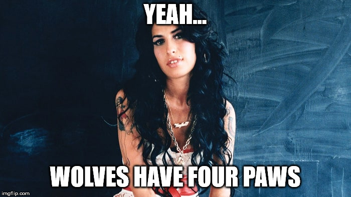 Amy Winehouse Back to Black | YEAH... WOLVES HAVE FOUR PAWS | image tagged in amy winehouse back to black | made w/ Imgflip meme maker