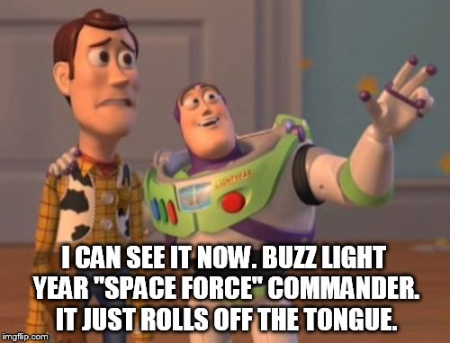 X, X Everywhere | I CAN SEE IT NOW. BUZZ LIGHT YEAR "SPACE FORCE" COMMANDER. IT JUST ROLLS OFF THE TONGUE. | image tagged in memes,x x everywhere | made w/ Imgflip meme maker