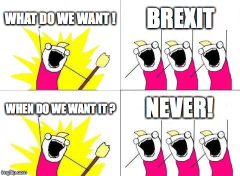 What Do We Want Meme | WHAT DO WE WANT ! BREXIT; NEVER! WHEN DO WE WANT IT ? | image tagged in memes,what do we want | made w/ Imgflip meme maker