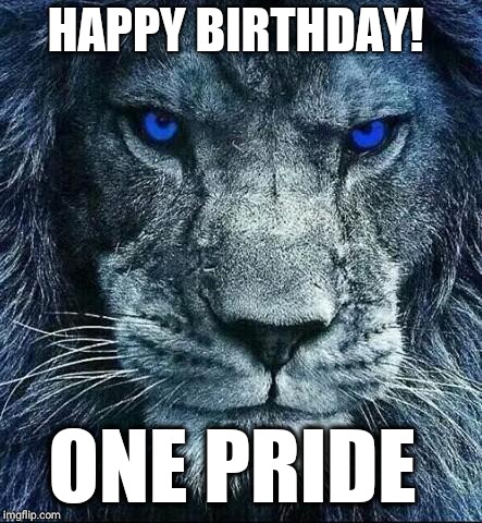 detroit lions | HAPPY BIRTHDAY! ONE PRIDE | image tagged in detroit lions | made w/ Imgflip meme maker