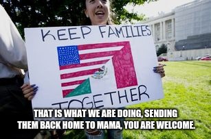 Social Justice Migrant | THAT IS WHAT WE ARE DOING, SENDING THEM BACK HOME TO MAMA, YOU ARE WELCOME. | image tagged in social justice migrant | made w/ Imgflip meme maker