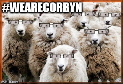 Corbyn sheep | #WEARECORBYN | image tagged in corbyn eww,momentum students,funny,wearecorbyn,labourisdead,cultofcorbyn | made w/ Imgflip meme maker